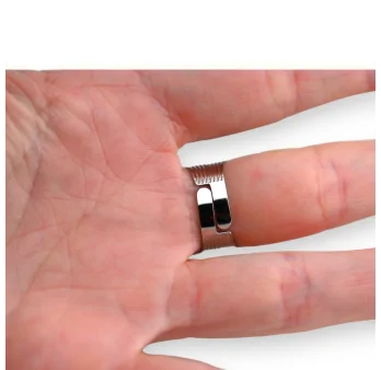 Silver oval illusion steel ring