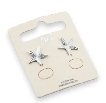 Silver-plated steel earrings star