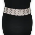 Fancy Elastic Women's Belt with Gold and Silver Strass