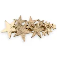 Golden star rain hair clip