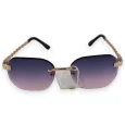 Tinted Chic Nuanced Sunglasses