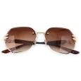 Fancy tinted glasses in shades of brown