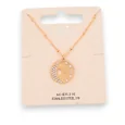 Gold-plated steel necklace with half moon and shining sun
