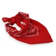 Bandanas rouge