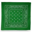 Bandanas vert brésil