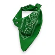 Green Brazilian Bandanas