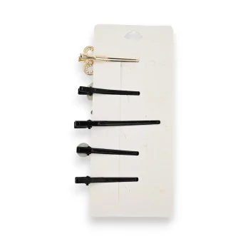 Trendy and fancy hair clip set