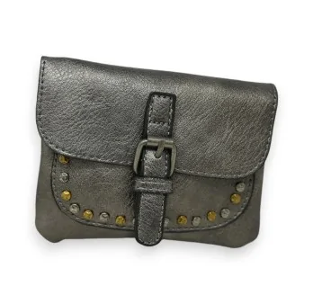 Metallic Gray Mandolin Wallet