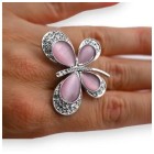 Anillos